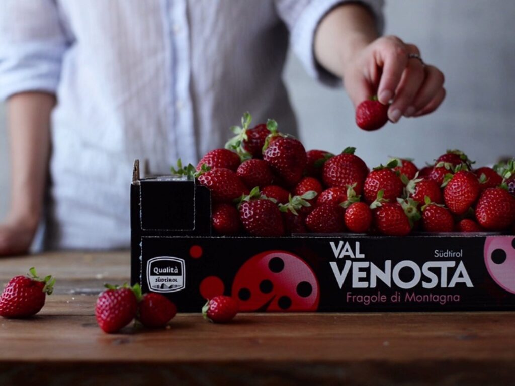 fragole val venosta