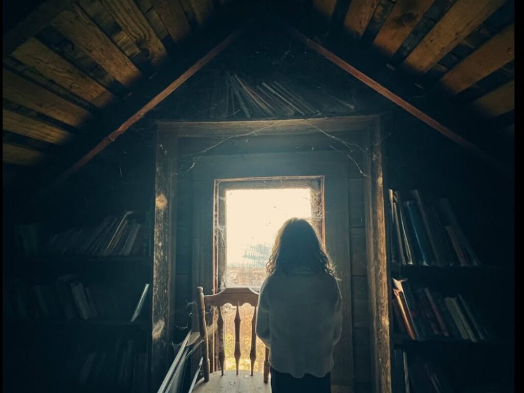 Girl in the Attic film trama