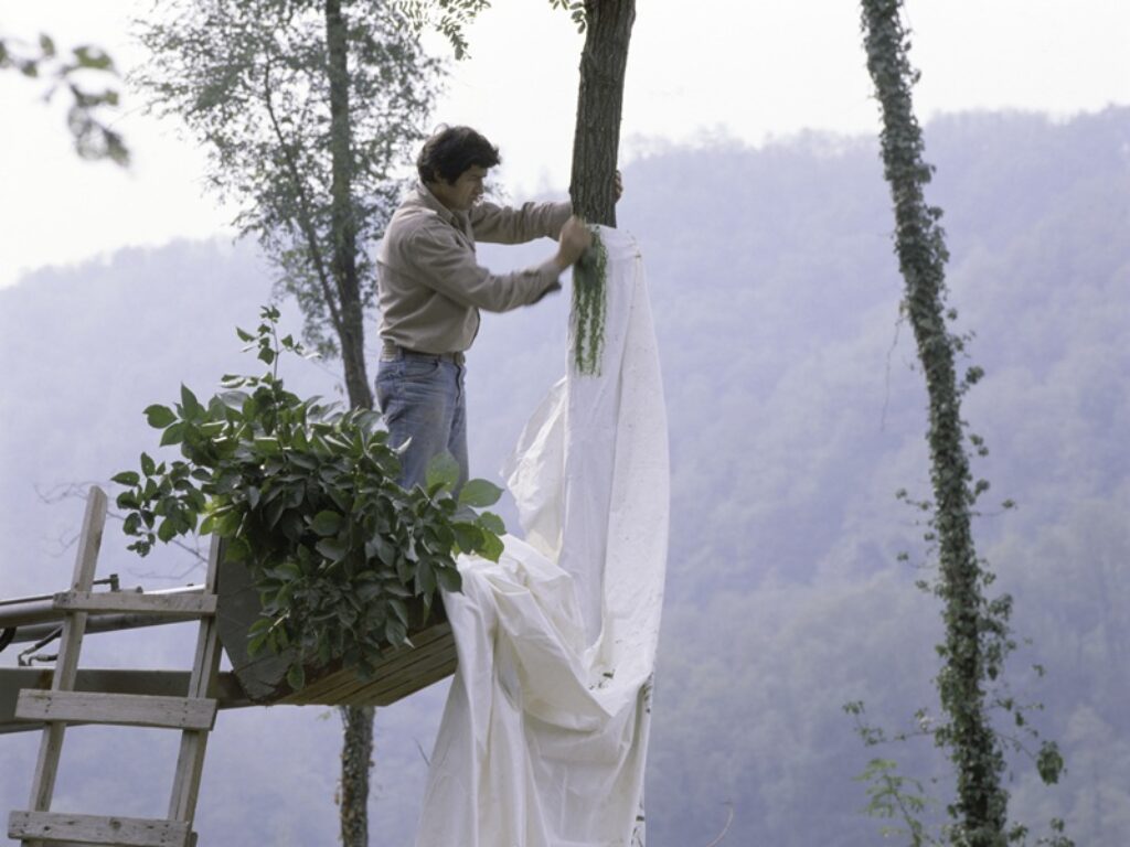giuseppe penone