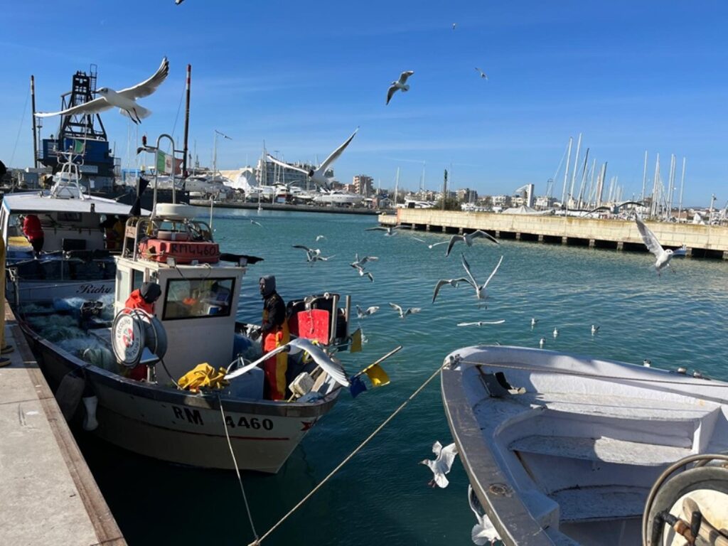 pesca