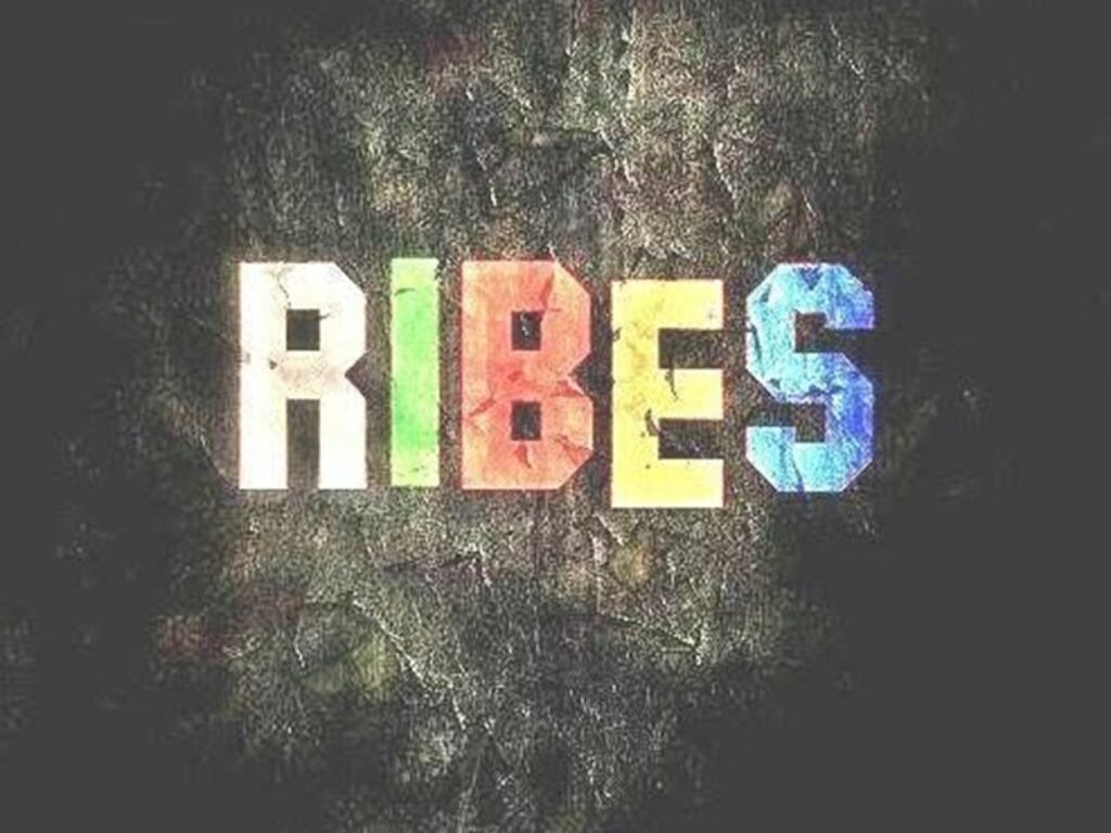 ribes