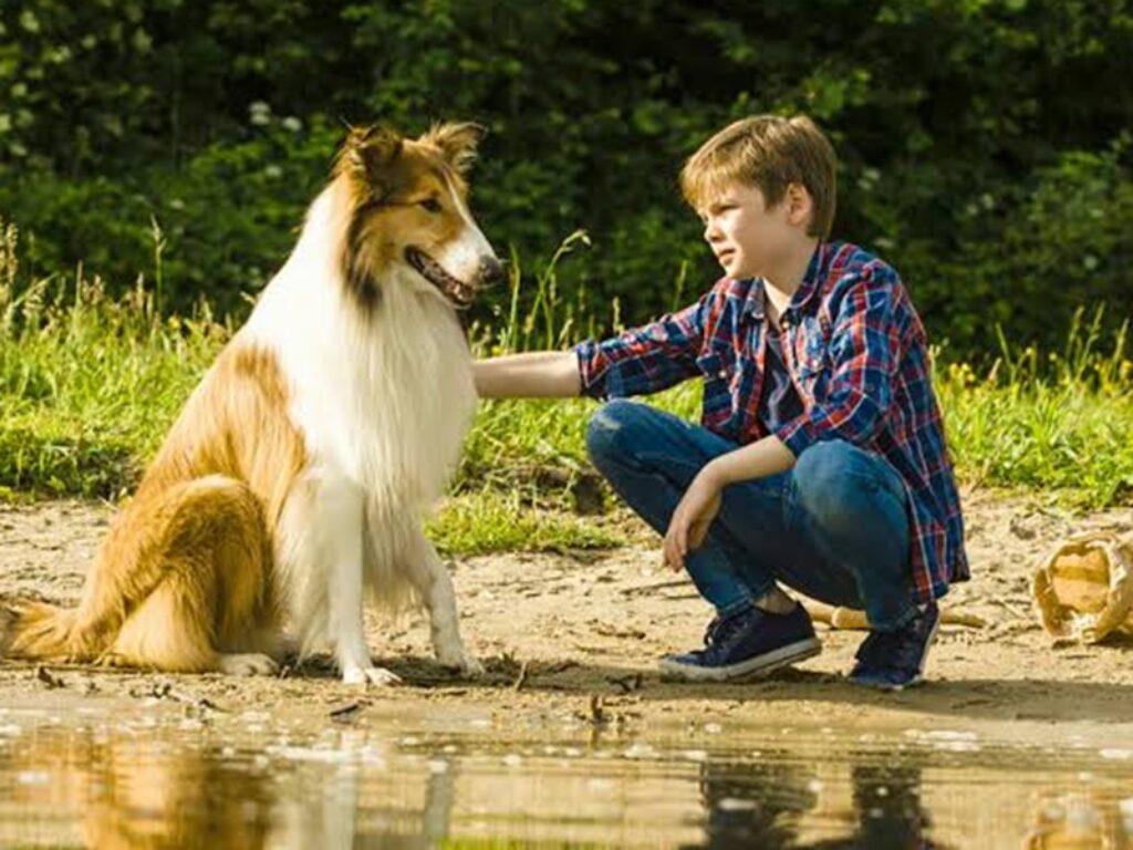 lassie torna a casa film trama