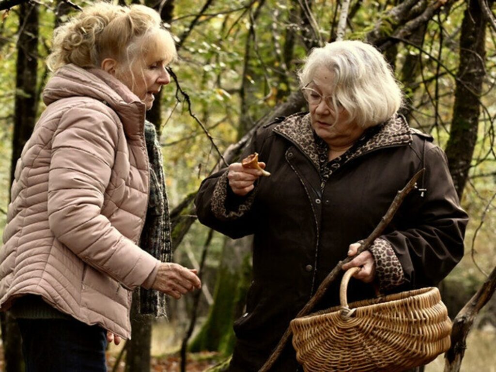 sotto le foglie film