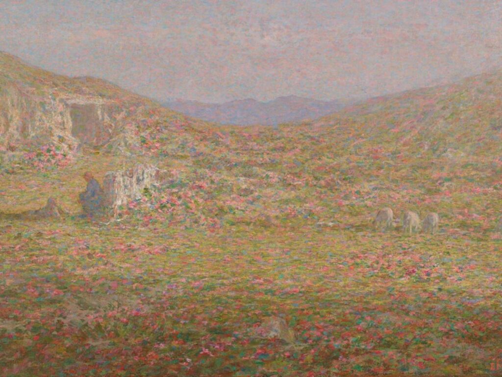 longoni