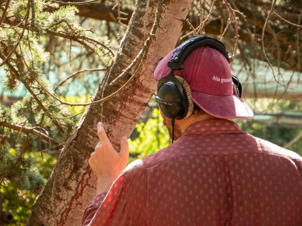 Botanical Soundscape