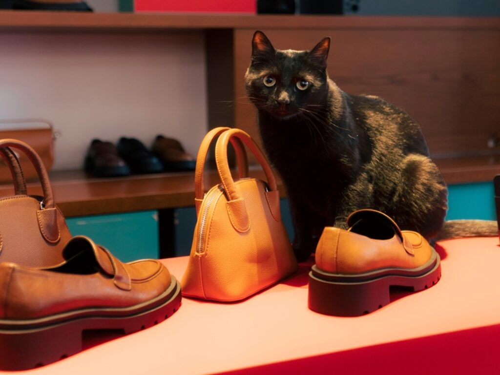 bata