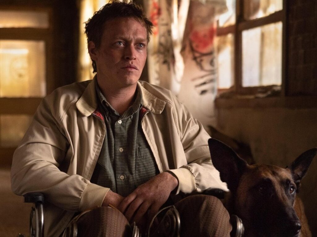 dogman film trama